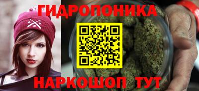 прущие грибы Конаково