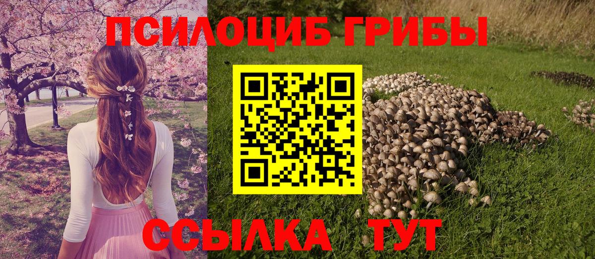 Кольчугино  наркота  Вход с VPN  Псилоцибиновые грибы GOLDEN TEACHER 