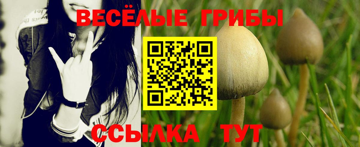 Псилоцибиновые грибы Magic Shrooms Кольчугино